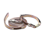 Load image into Gallery viewer, Wholesale Durable Designer Dog Collar No.20s - BrandBoxs
