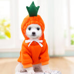 Load image into Gallery viewer, Dog Winter Coat (Love Two-Legged Design) - BrandBoxs
