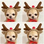 Load image into Gallery viewer, Dog Winter Coat (Love Two-Legged Design) - BrandBoxs
