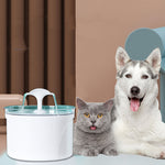 Load image into Gallery viewer, Pet Water Fountain &amp; Dispenser (LED Display) - BrandBoxs
