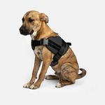 Load image into Gallery viewer, Heavy Duty Dog Harness (Black) - BrandBoxs
