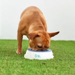 Load image into Gallery viewer, Ice Bowl (Pet Cooling Water Bowl) - BrandBoxs
