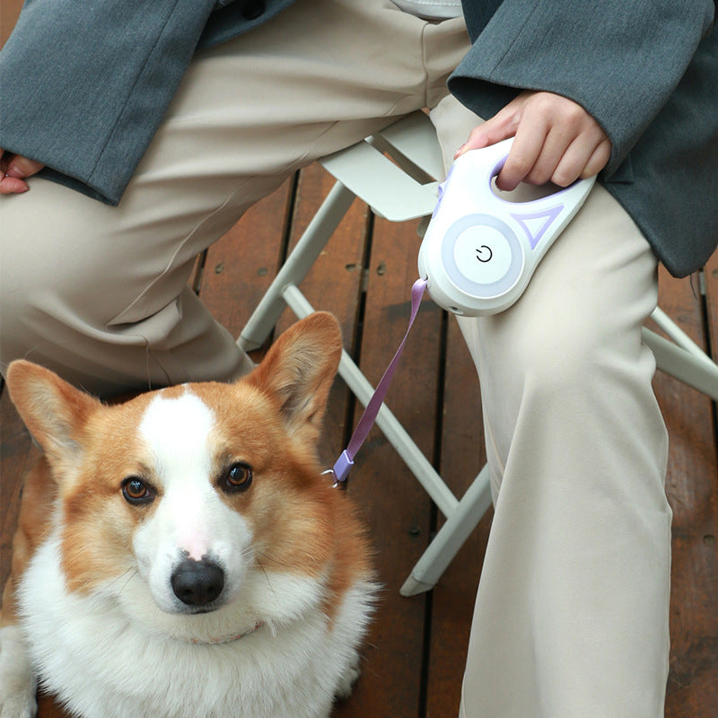 Retractable Dog Leash with Spotlight - BrandBoxs